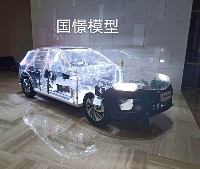 高县透明车模型